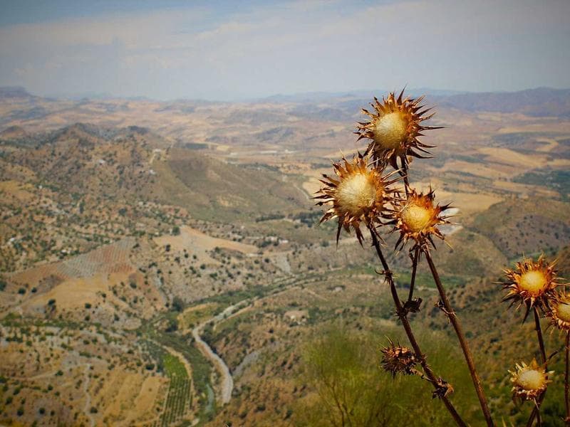 Advanced OpenCart Slider