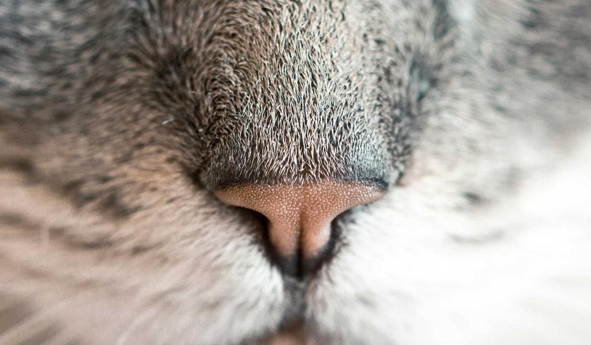 Admin Growth Dashboard: What to Track Weekly