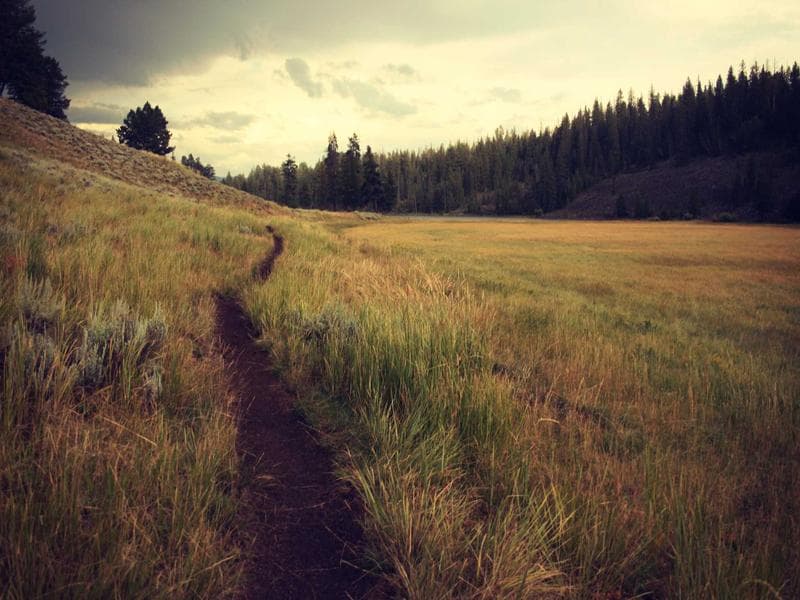 Essential OpenCart Cache